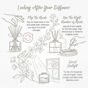 Althair Inspired | Saqr (Reed Diffuser)