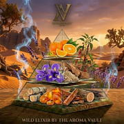 Inspired by Sauvage Elixir | Wild Elixir